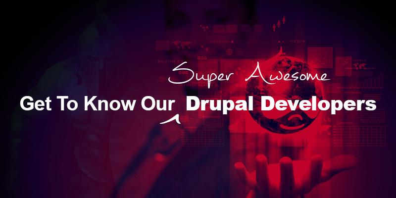 Awesome Drupal Developers Awesome Drupal Developers